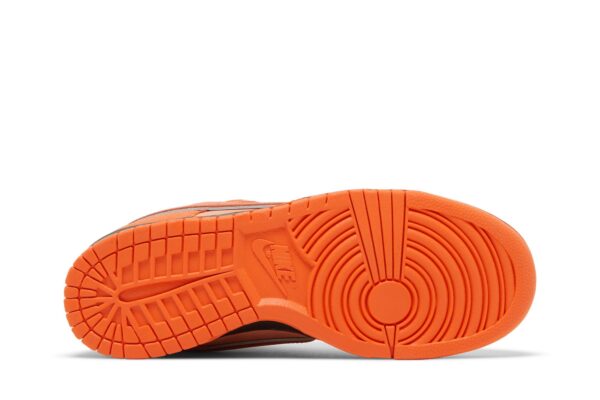 Concepts  x Nike Dunk Low SB 'Orange Lobster' FD8776-800 - Image 4